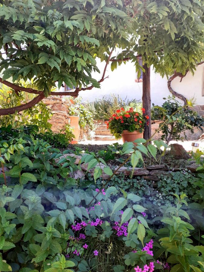 Cortijo Los Maximos Turon Exterior photo